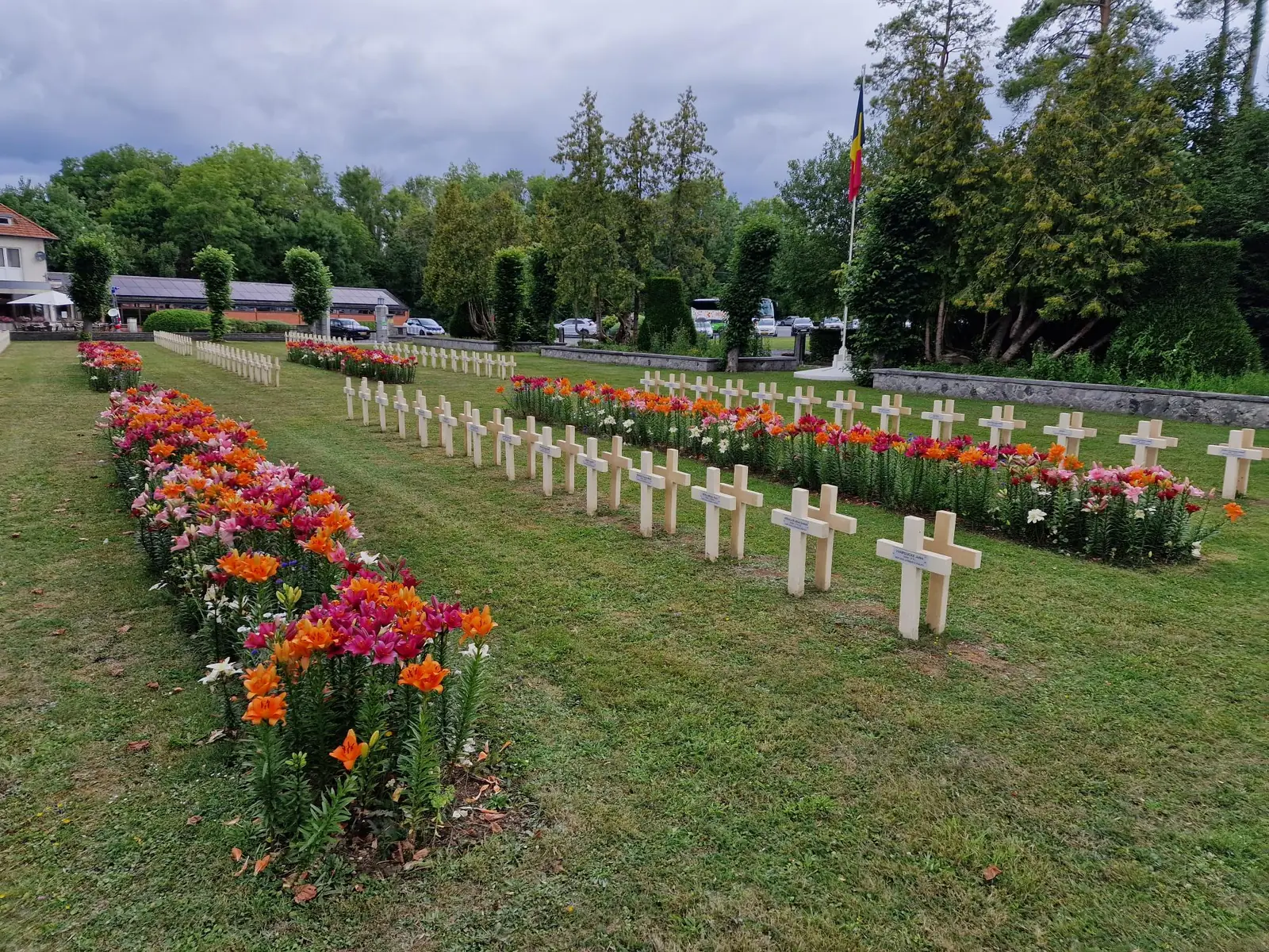 Lys orange et roses fleuris entre les rangs de croix du cimetière militaire de Dinant