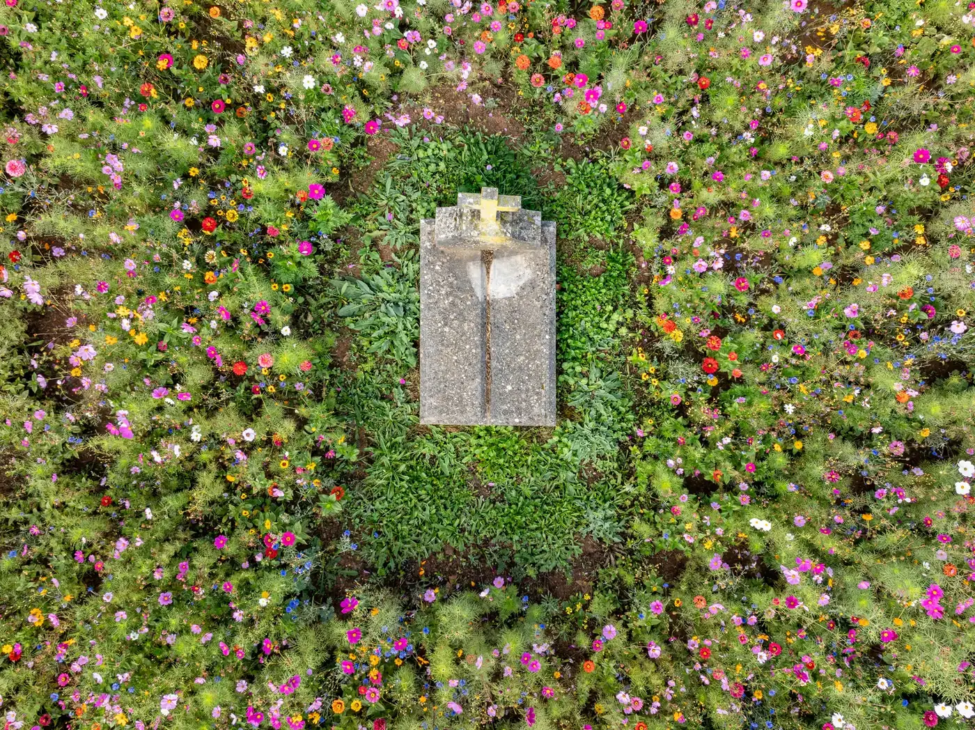 Graf op de begraafplaats van Daverdisse van bovenaf gezien, omringd door de bloemenweide die tussen de graven is ingezaaid
